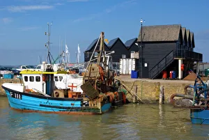 Hafen von Whitstable in der Grafschaft Kent im Vereinigten Königreich Großbritannien und Nordirland in Europa