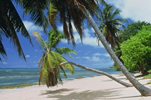 Indian Ocean Beaches Africa Drucke: Praslin beach
