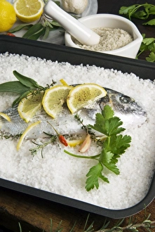 Food Photography Indoors Drucke: Preparing gilthead bream in salt coating