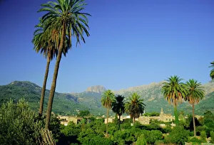 Puerto Polnesa