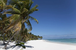 Drucke von Boca Chica ist eine Insel der Dominikanischen Republik im Karibikgebiet und gehört zu den Bahamas Dominikanische Republik Drucke: Punta Cana Dominikanische Republik Westindien Karibik Mittelamerika
