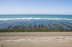 Valdes Peninsula Argentina Drucke: Punta Cantor, Valdes Peninsula, Patagonia, Argentina, South America