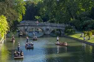 Cambridge Drucke: Würfeln am Rücken der Bäume entlang des Flusses Cam in Cambridge im Königreich Großbritannien