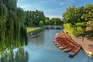 Punts auf den Rücken, River Cam, Cambridge, Cambridgeshire, England, Vereinigtes Königreich, Europa