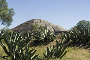 Teotihuacan Pyramid Drucke: Pyramid of the Moon