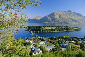 Mountain Range Beauty Drucke: Queenstown