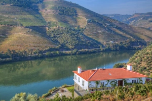 Douro River Landscape Drucke: Quinta da Marka overlooking the Douro River