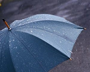 Rainy Weather Photography Drucke: Rain falling on an umbrella