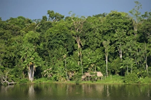 Karte Drucke: Die Regenwald im Jaraegebiet der Amazonasregion von Brasilien Südamerika