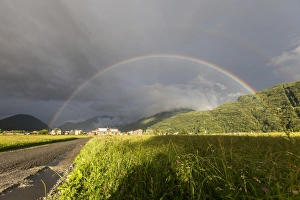Lombardy European Landscapes Drucke: Rainbow over green fields of countryside, Cosio Valtellino, Sondrio province, Valtellina