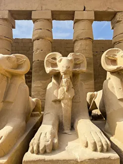 Sphinxköpfige Statuen im Tempelkomplex von Karnek in der Weltkulturerbestätte des UNESCO-Welterbees Karneks nahe Luxor. Diebene Ägypten Nordafrika Afrika