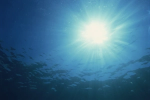 Contemporary Travel Images Drucke: Rays of sunlight through the surface from underwater