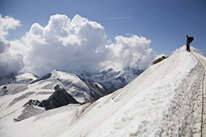 Europe Snow Capped Mountains Drucke: Reaching the summit of Mount Cevedale, 3769 m, Ortler Alps, South Tyrol, Italy, Europe