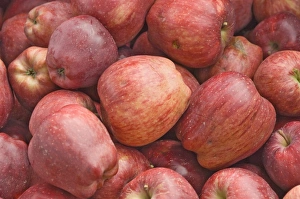 Fresh Produce Pictures Drucke: Red apples