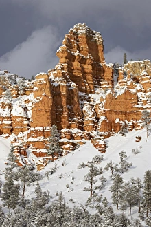 Utah Red Rock Formations Drucke: Red rock formations