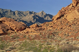 Sandstone Formations USA Drucke: Red sandstone rocks