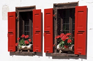 Central European Photography Drucke: Red shuttered windows and geraniums