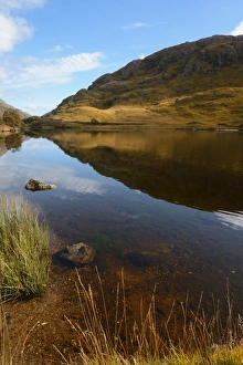 United Kingdom Nature Photography Drucke: Reflection of autumn colours, Loch Eilt, Highlands, Scotland, United Kingdom, Europe