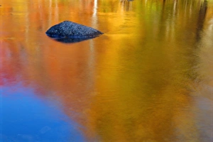 Contemporary Landscape Photography Drucke: Reflections in autumn