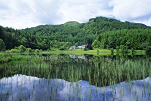 Tranquil Scottish Landscapes Drucke: Reflections in Loch Dhu