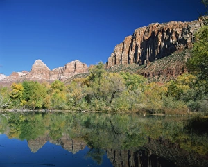 Reflections Of Trees In Water Drucke: Reflections of trees in fall colours and cliffs of Zion