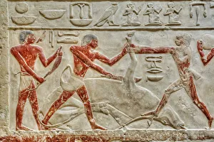 World Heritage Sites In Africa Drucke: Reliefs, Mastaba of Idut, Step Pyramid Complex, UNESCO World Heritage Site