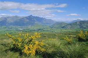 The Remarkables Mountain Range Drucke: The Remarkables