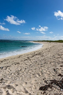 West Indies Island Getaway Drucke: Remote white sand beach in Barbuda