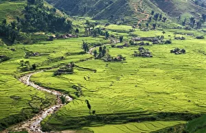 Reisfelder im Sapa-Bereich NordvietnamVietnamIndokchina SüdostasienAsiatische Region