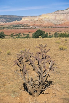 American Southwest Travel Destinations Drucke: Rio Arriba County