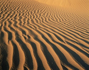 African Wilderness Photography Drucke: Ripples in the sand