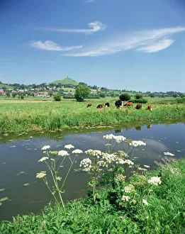 Somerset Drucke: Fluss Bru mit dem Glastonbury-Turm im Hintergrund, Somerset, England und Großbritannien