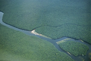 Venezuela Landscape Photography Drucke: River close to Kavak