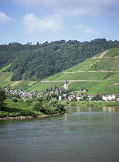 Fluss Mosel