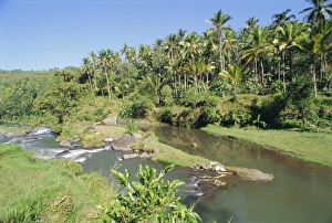 Bali Nature Photography Drucke: River valley