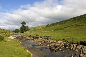 Fluss Wharfe, Oberer Flusstal von Langstrothdell, nahe Hubberholme im nationalen Naturpark Yorkshire Dales
