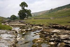North Yorkshire Countryside Drucke: River Wharfe, Upper Wharfedale (Langstrothdale)