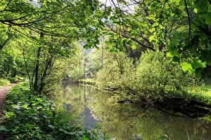 Derbyshire Drucke: Der Fluss Wye mit Bäumen umgeben im Frühjahr unter Blättern und einer Spur entlang des Ufers