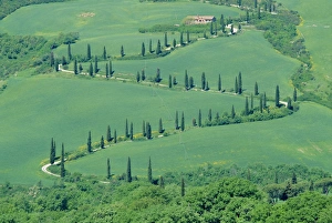 European Countryside Roads Drucke: Road winding up hillside