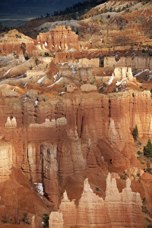 Utah National Park Drucke: Rock details