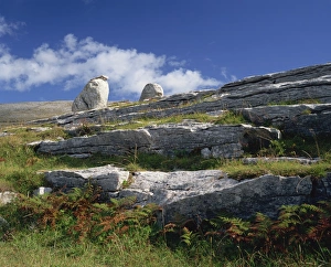 European Natural World Images Drucke: Rock formations of The Burren