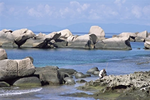 Outdoor Nature Scenery Drucke: Rocks on coast