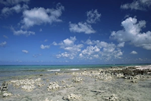 Rocky Shore Photography Drucke: Rocky shore