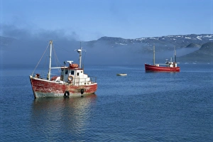 Polar Regions Travel Guide Drucke: Rodebay (Oqaatsut)