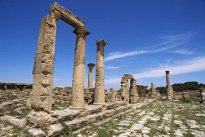 North African Historical Sites Drucke: Roman ruins