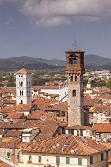 Tuscany Travel Destination Drucke: The rooftops of the historic centre of Lucca, Tuscany, Italy, Europe