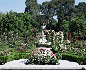 European Union Natural Beauty Drucke: Rose Garden