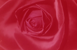 Rosen, Rosen