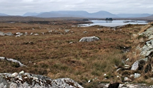 Bergige Landschaft von Connemara mit Torfmoorwiesen und Granitgestein sowie tiefen Seen und entfernten Bergen. Konemera im Grafschaftsbezirk Galway in der Republik Irland ist Teil des irischen Landesbundes, dem sogenannten Bündnis Connacht