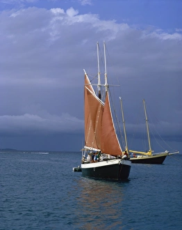 Windward Islands Tourism Drucke: Sailing boat